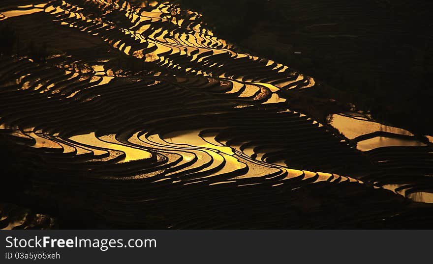 Terrace View in AiNao Mountain Area,YunNan Province,China