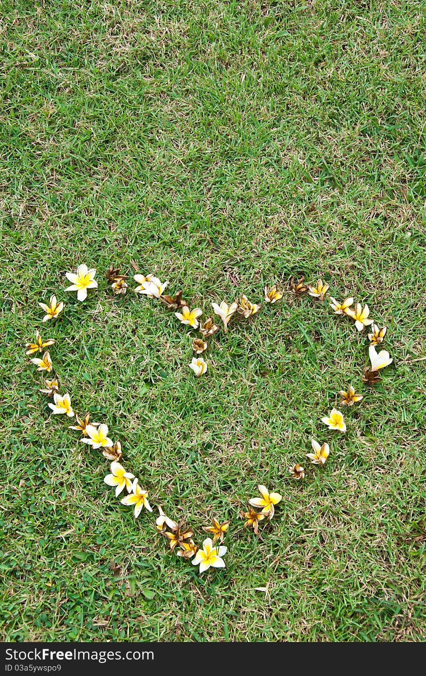 Heart flower on yard