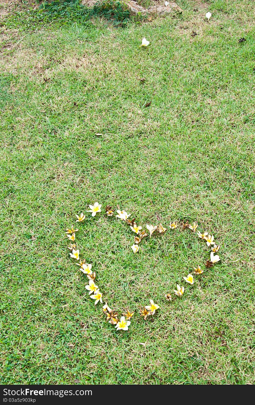 Heart flower on yard