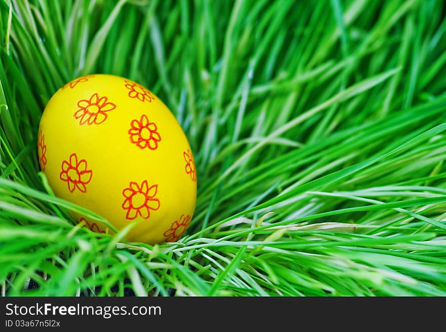 Yellow egg in green grass