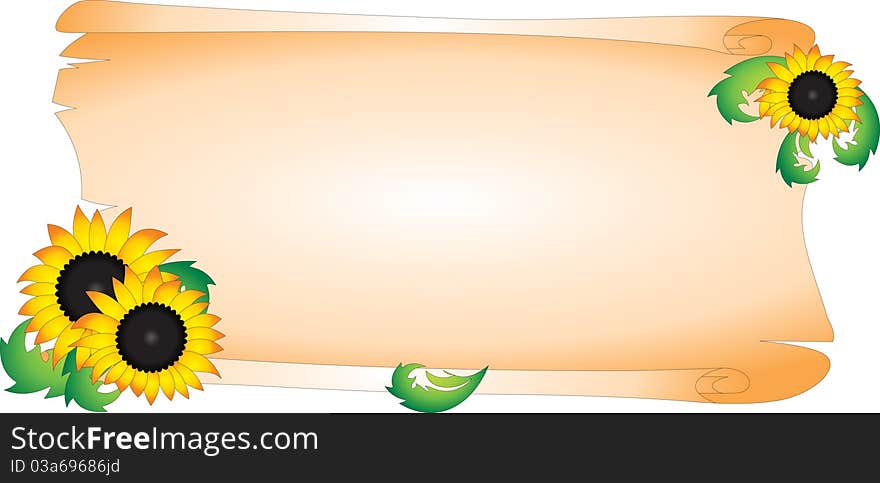 Blank and sunflower isolated on white background. Vector illustration