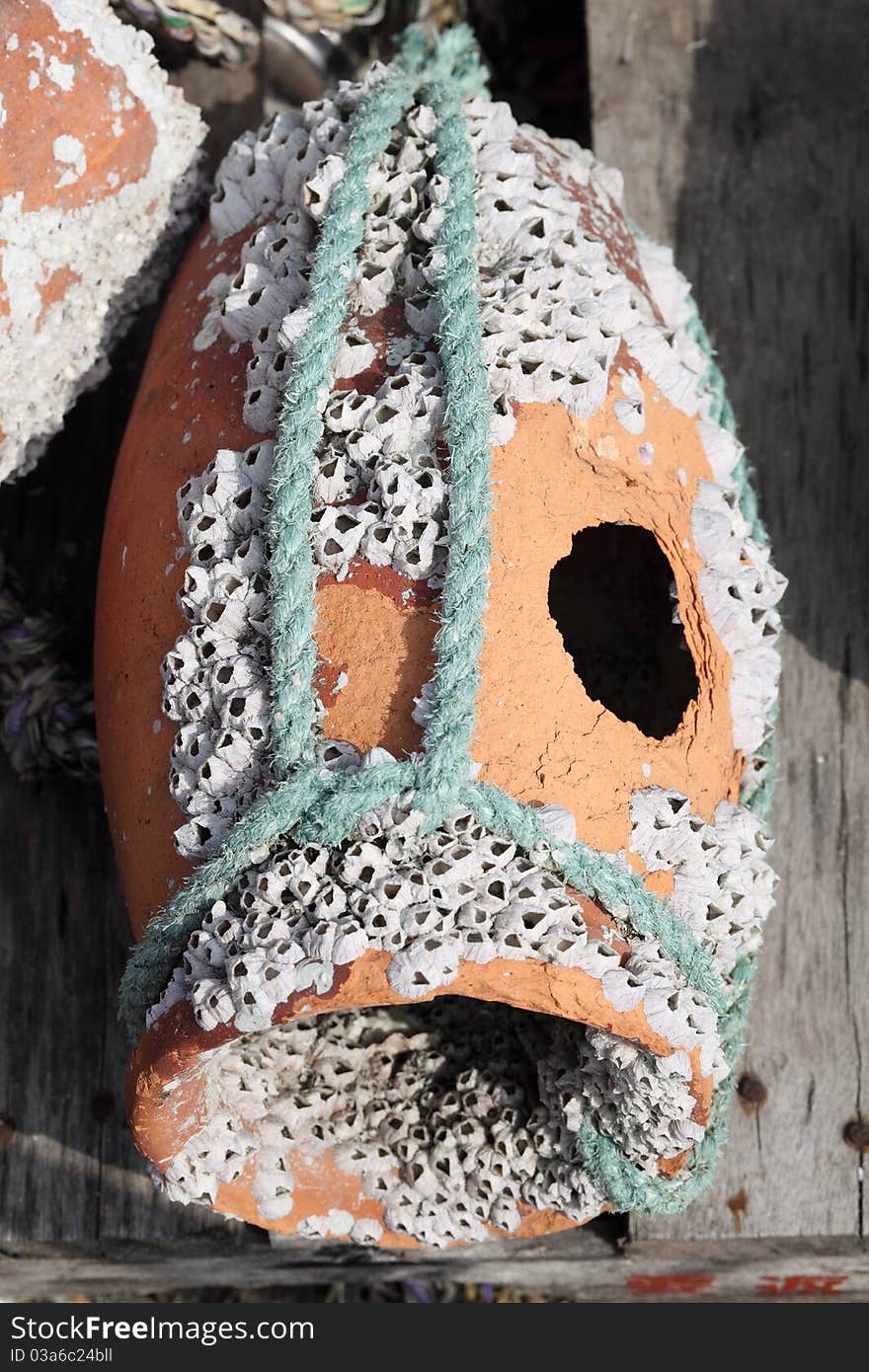 Close up of old pot, seashells