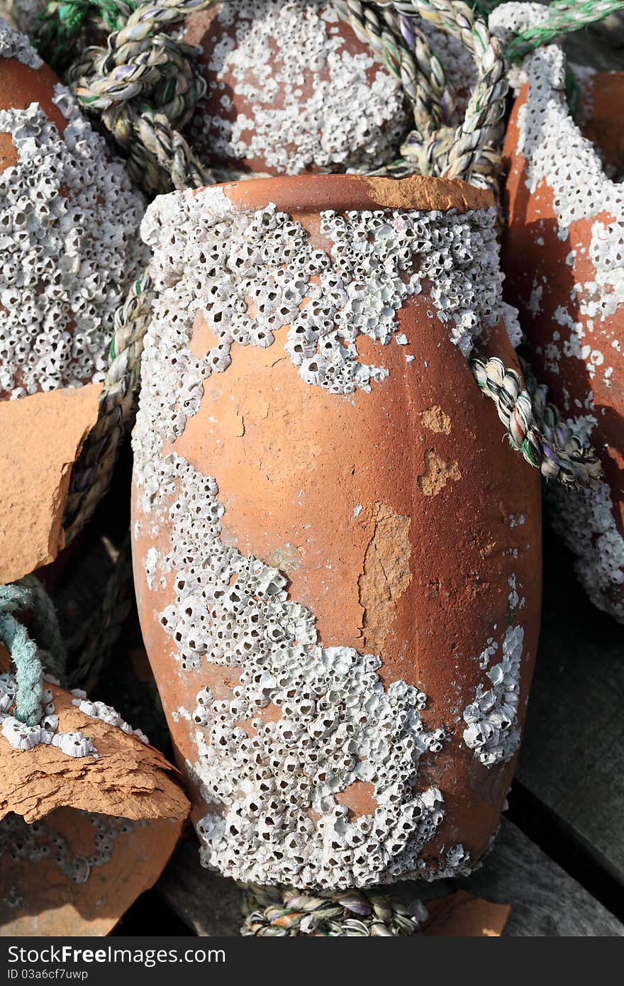 Close up of old pot, seashells