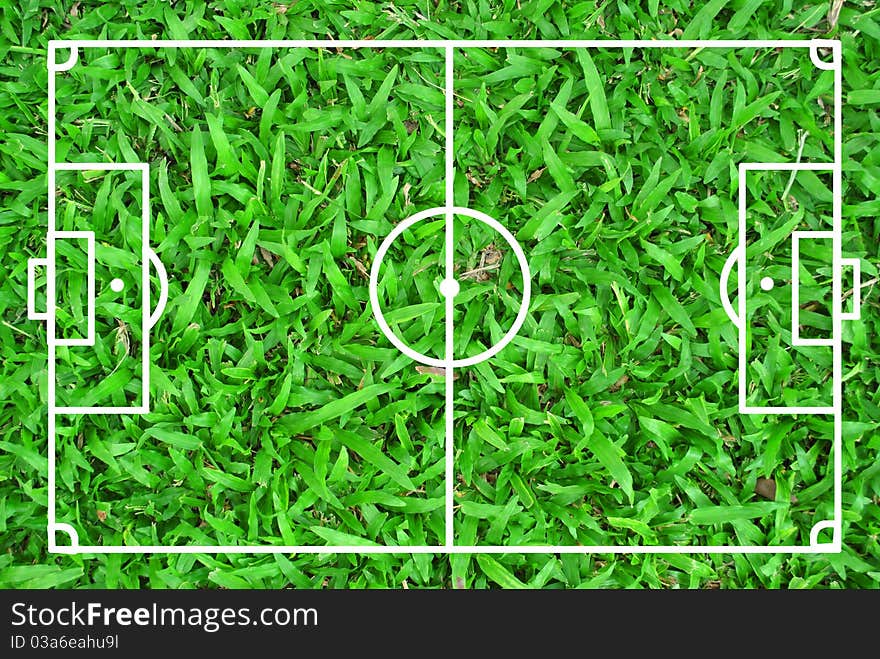 Football field is on the grass texture