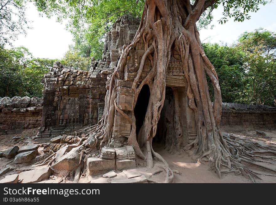 Trees overgrow the backgate of Ta Som temple in Angkor, Cambodia. Trees overgrow the backgate of Ta Som temple in Angkor, Cambodia.