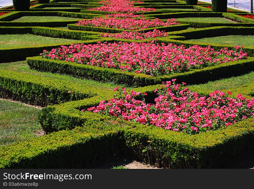 Bed of flowers in a square. Bed of flowers in a square