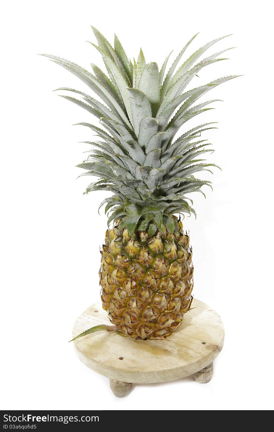 Pineapple