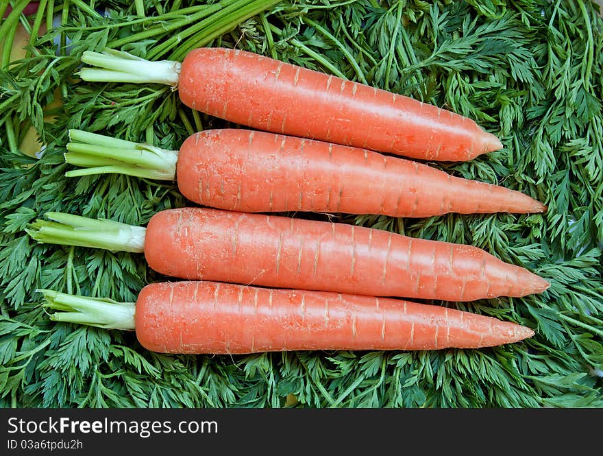 Fresh ripe raw carrot