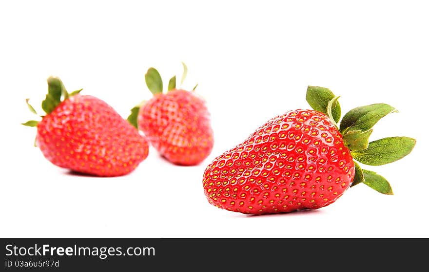 Studio photo of isolated strawberries on white background