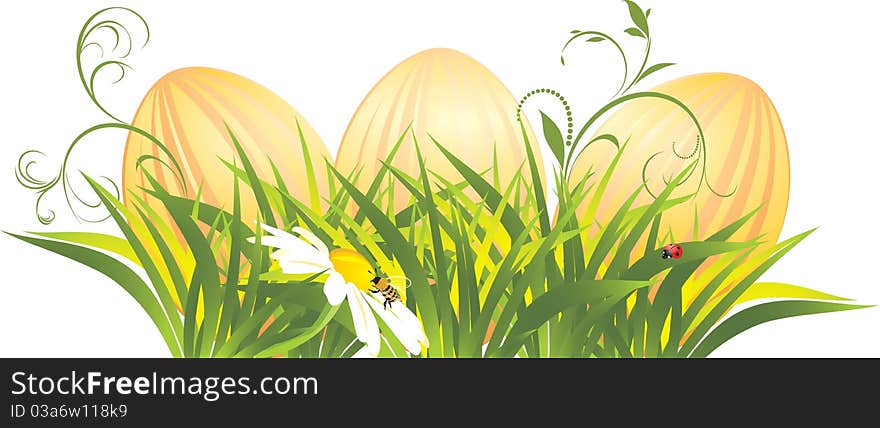 Easter eggs in the grass with chamomile