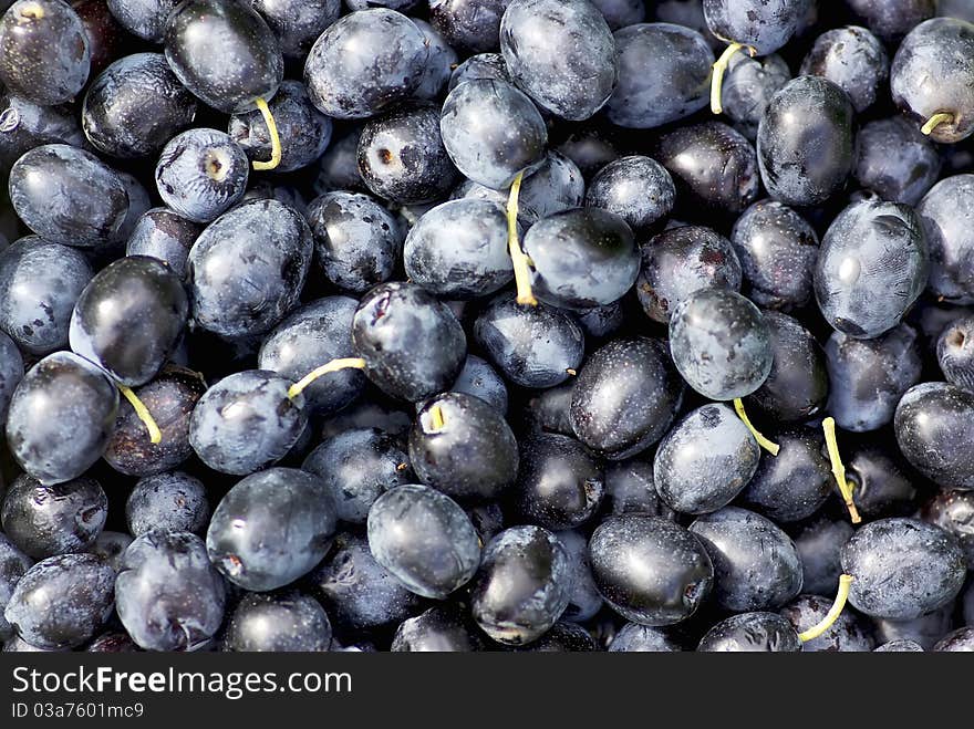 Close up Black olives background. Close up Black olives background.