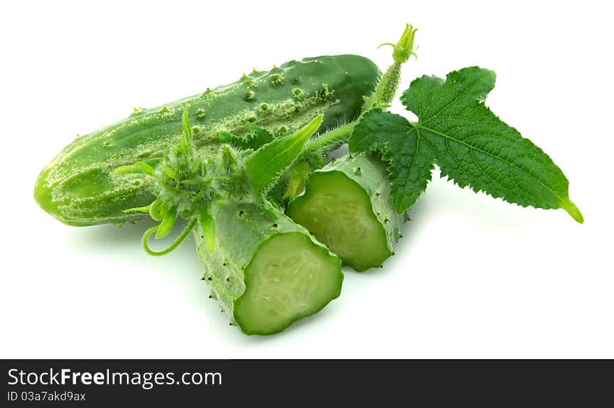 Fresh Cucumbers