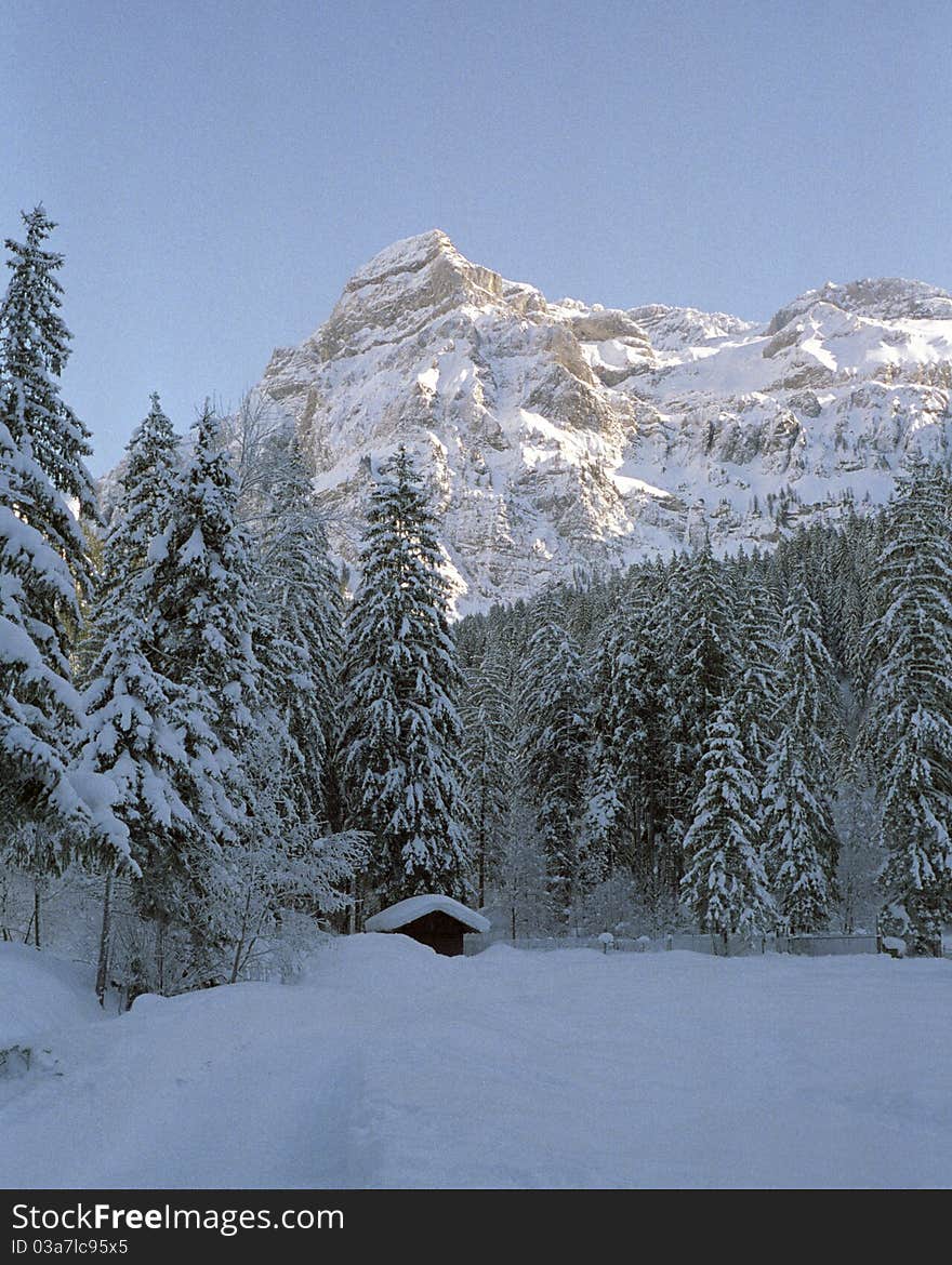 Winter scene in the canton of Berne in alpine Switzerland. Winter scene in the canton of Berne in alpine Switzerland