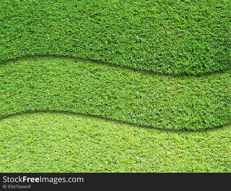 Three layer of green grass