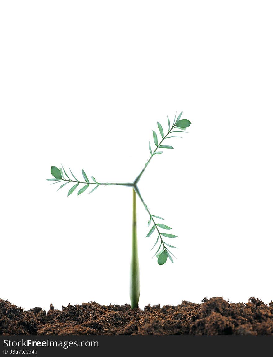 Plant as a windmill and dirt. Plant as a windmill and dirt