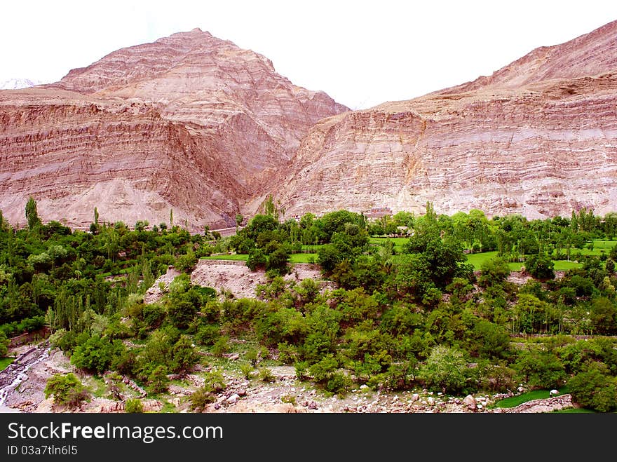 Red Mountain And Green Trees