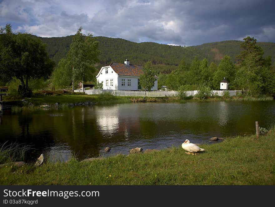 Village near the lake