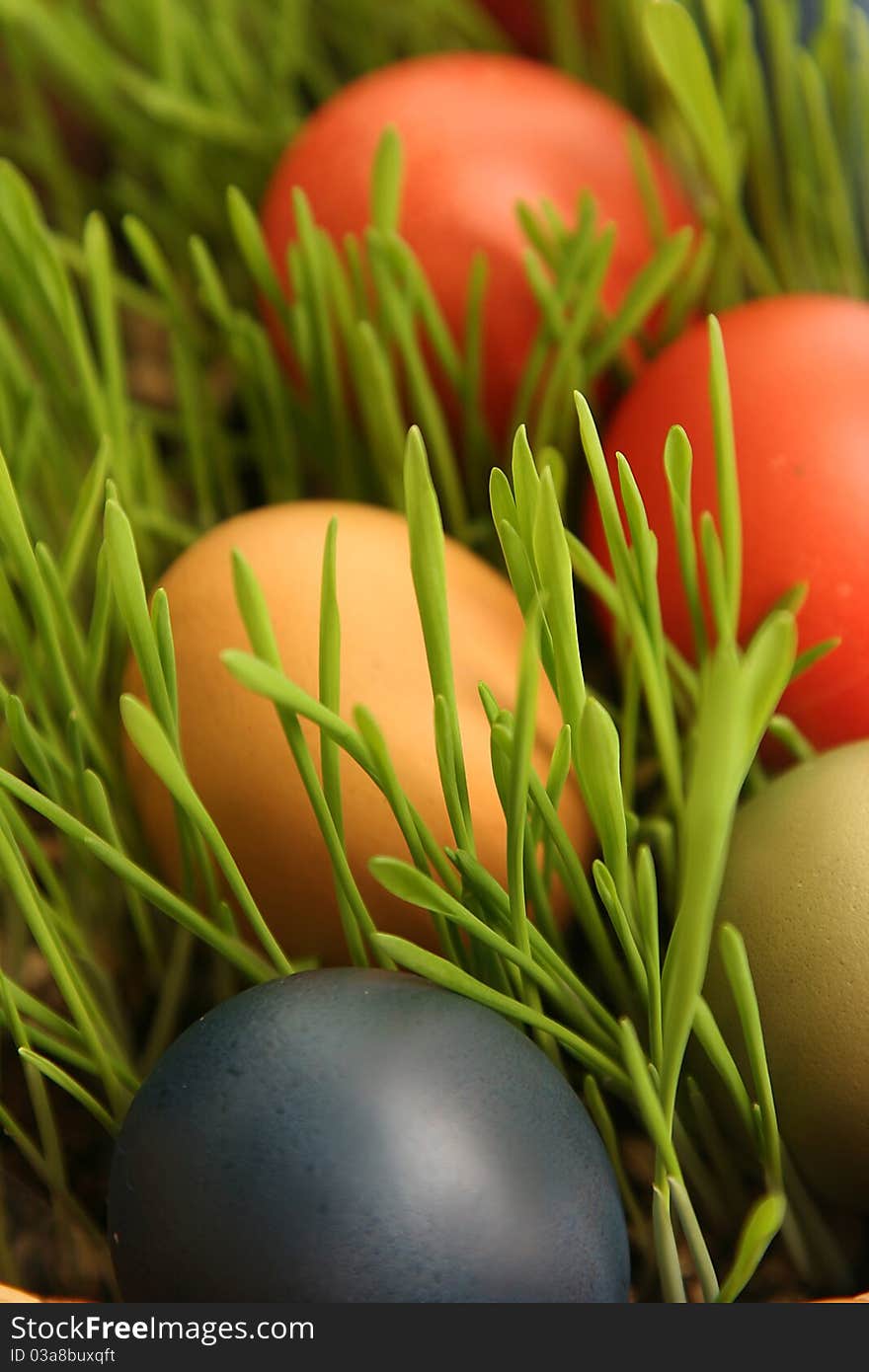 Bright easter eggs in green grass. Bright easter eggs in green grass