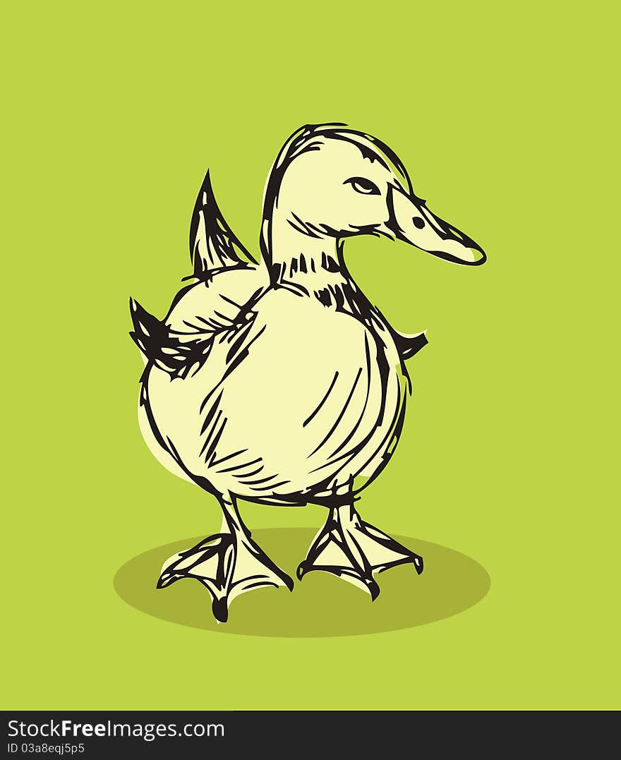 Duck vector Isolated on background Tattoo retro style hand drawn