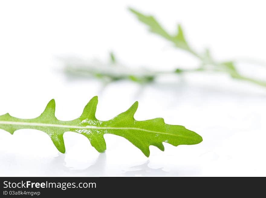 Ruccola fresh heap leaf on white