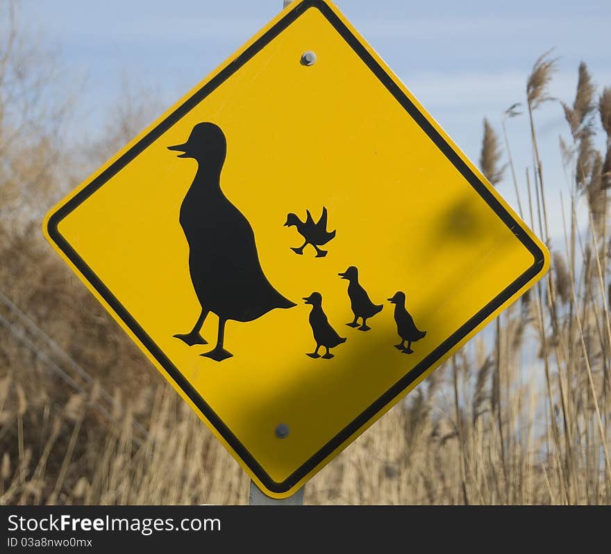 Ducks crossing sign