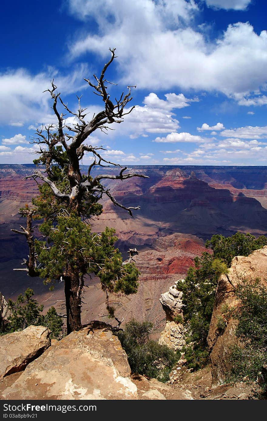 Mountain landscape in National Park of America. Grand Canyon.