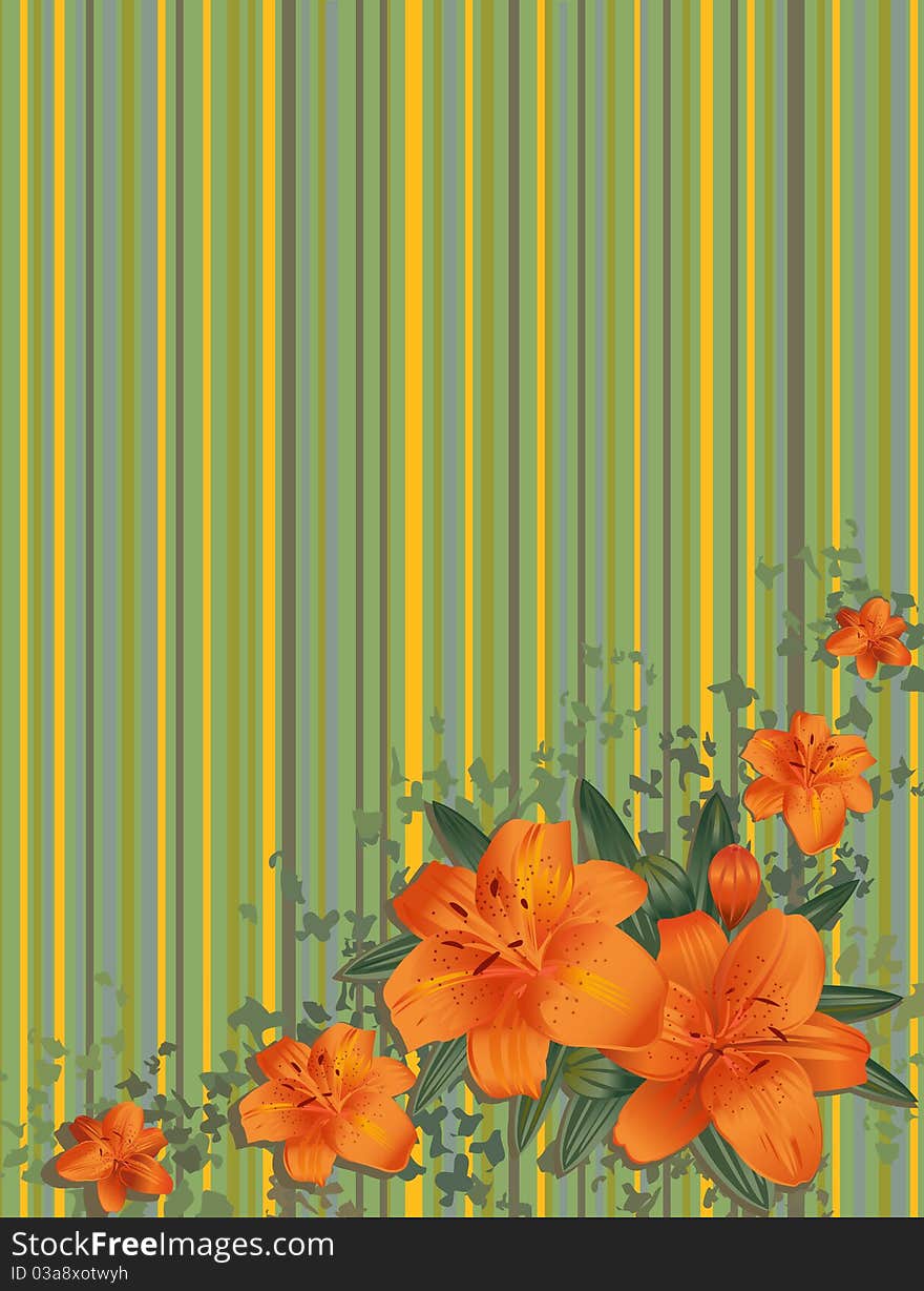 Orange lilies on a striped background