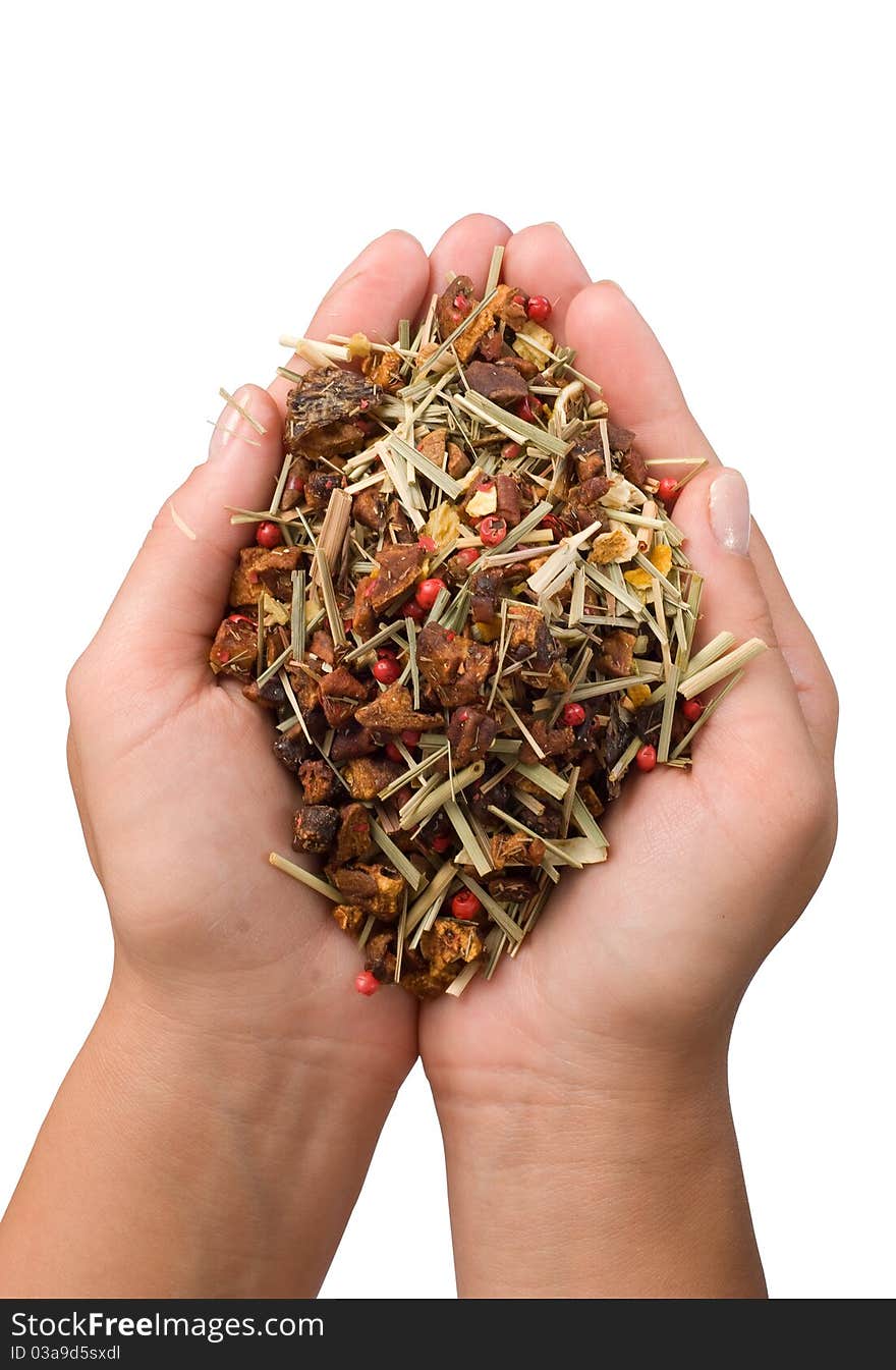 Tea in woman's hands. Tea in woman's hands