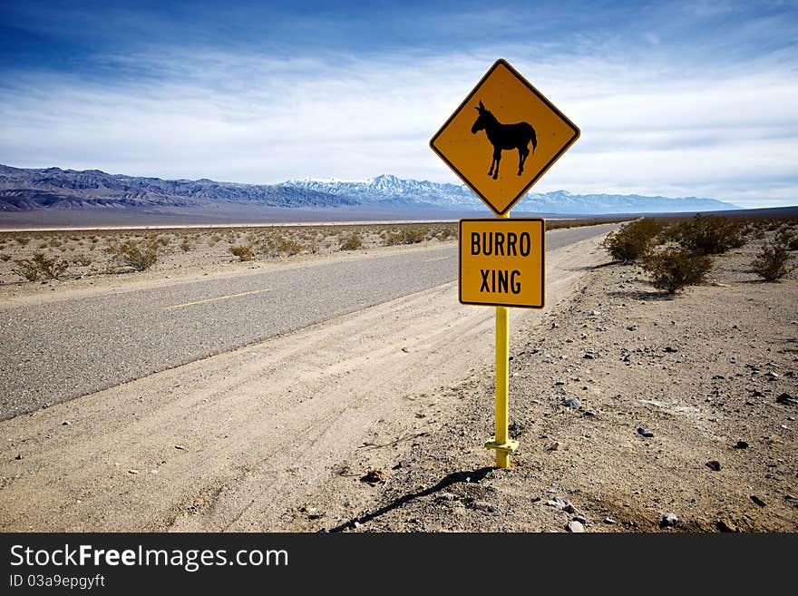 Burro Crossing