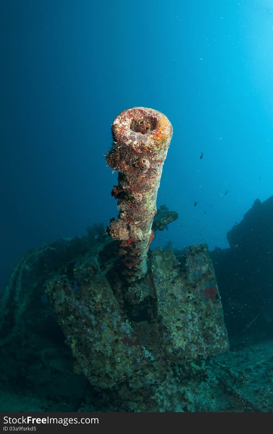 SS Thistlegorm battle gun