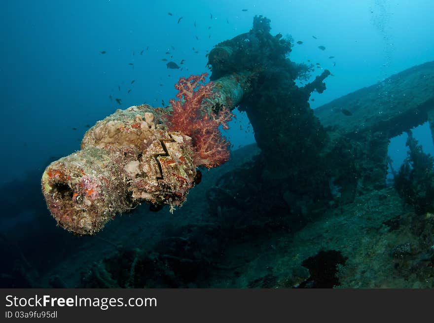 SS Thistlegorm Battle Gun