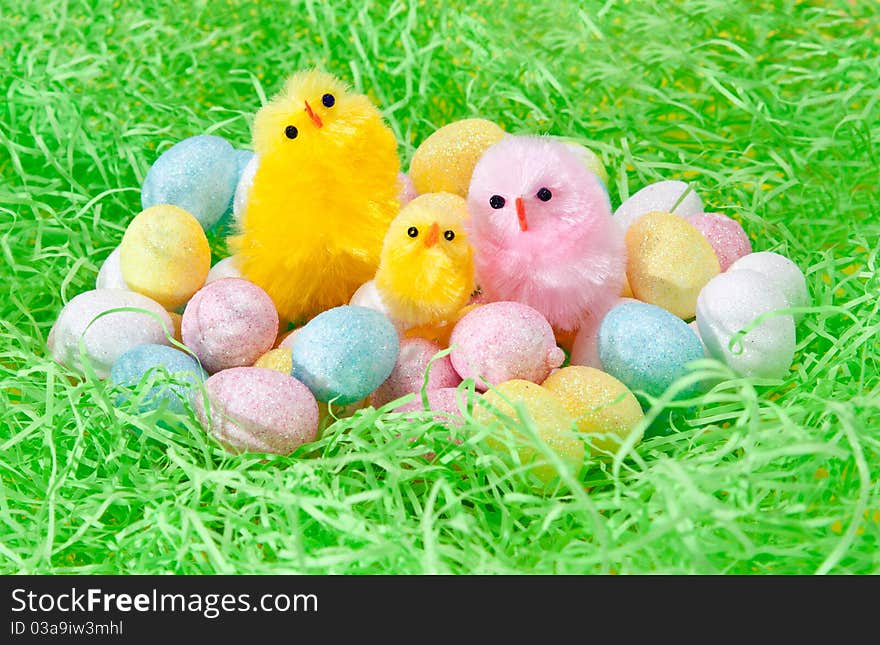 Colorful picture of 3 chooks on the eggs. Colorful picture of 3 chooks on the eggs