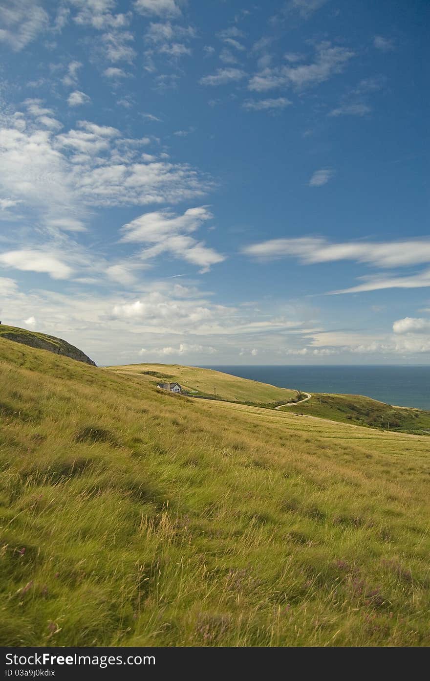 Grasslands of the orme