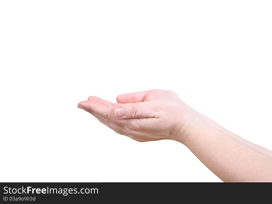 The palms show something on a white background