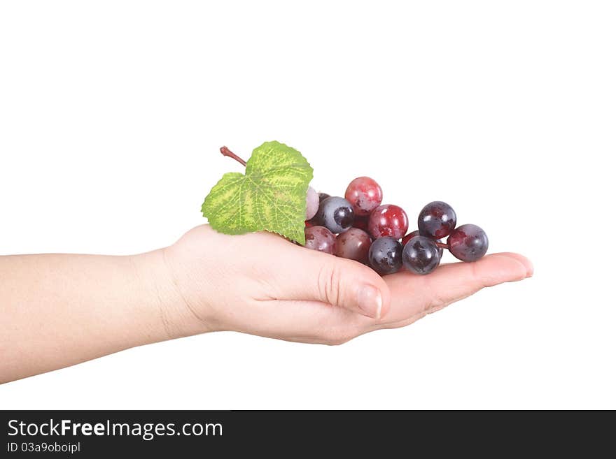 The palm shows a grape on a white background. The palm shows a grape on a white background