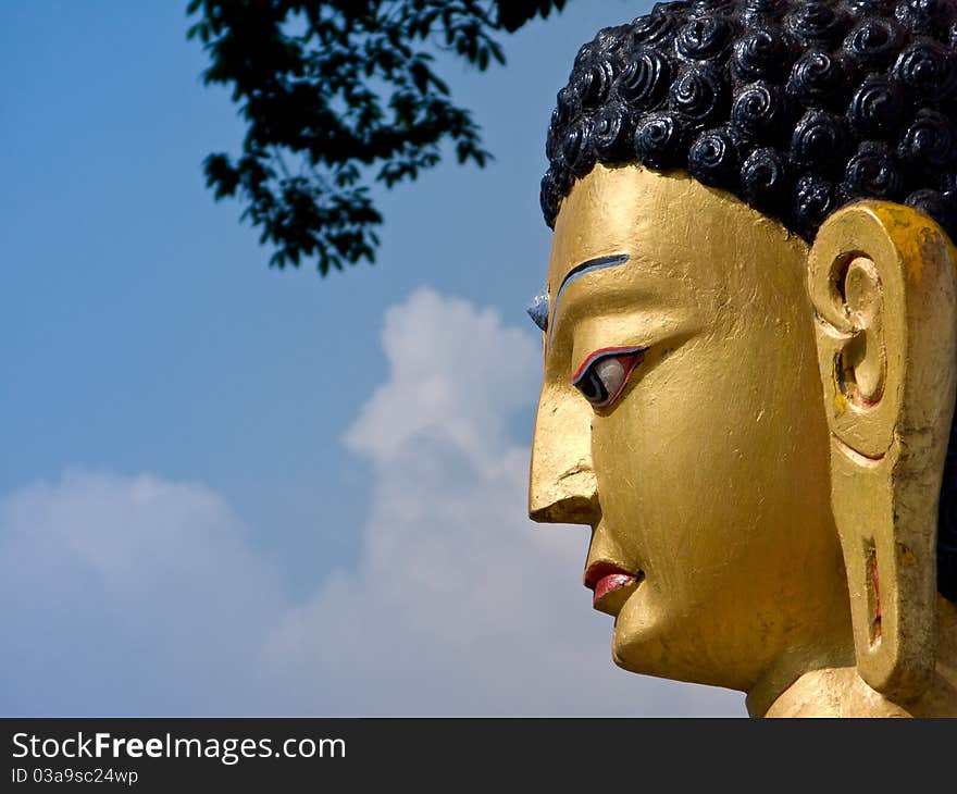 A profile of a golden statue of buddha. A profile of a golden statue of buddha.