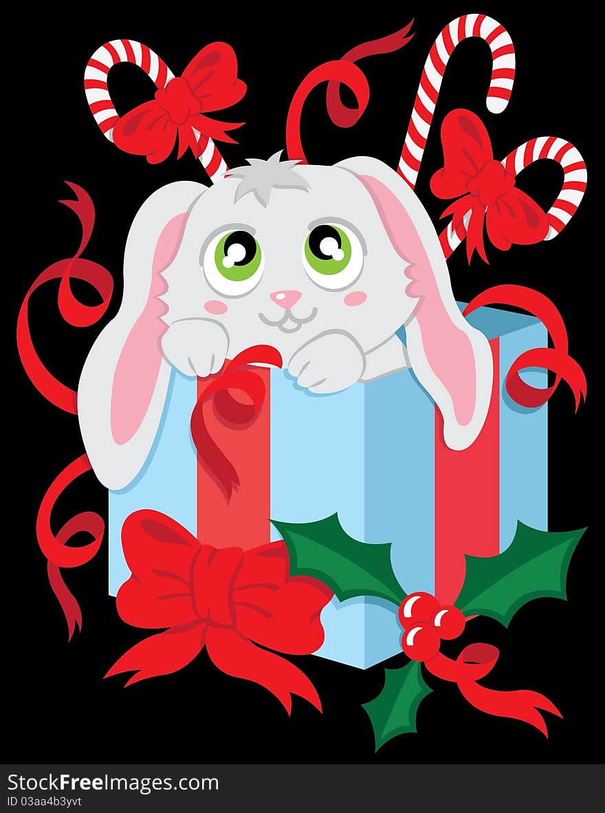 The christmas rabbit in the box