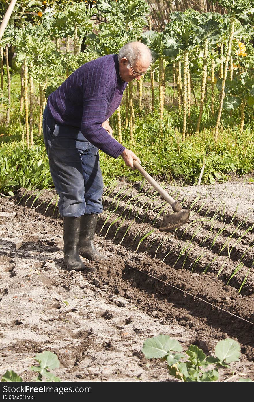 Old person whose hobby ecological agriculture and natural