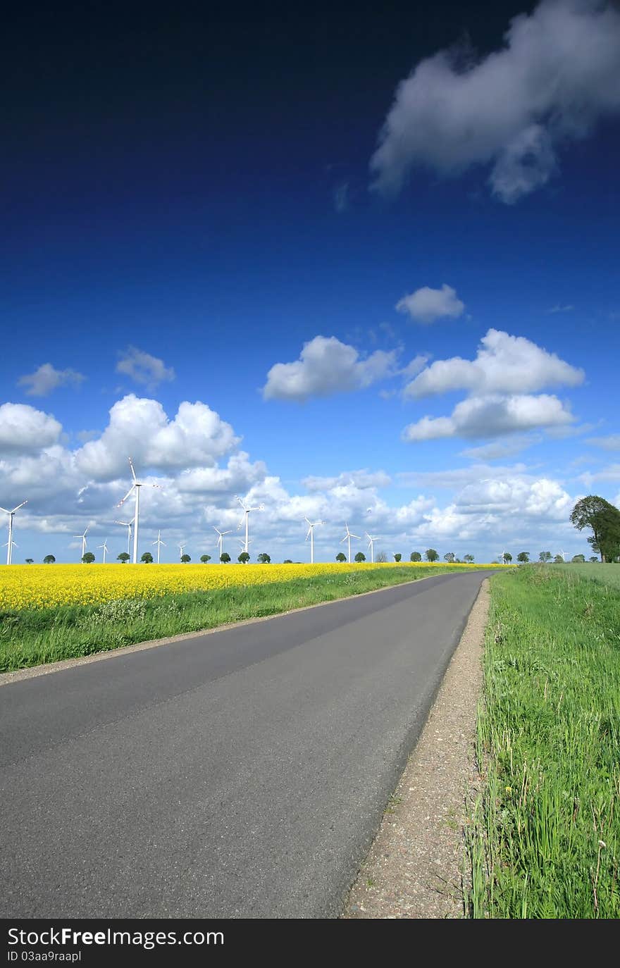 Wind farm on the fields of