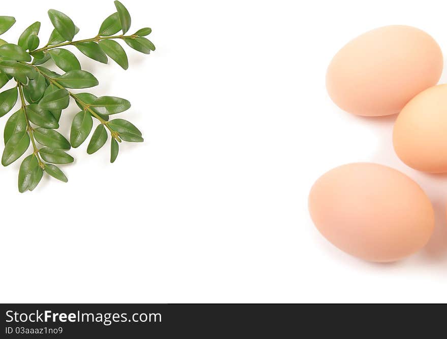 Eggs