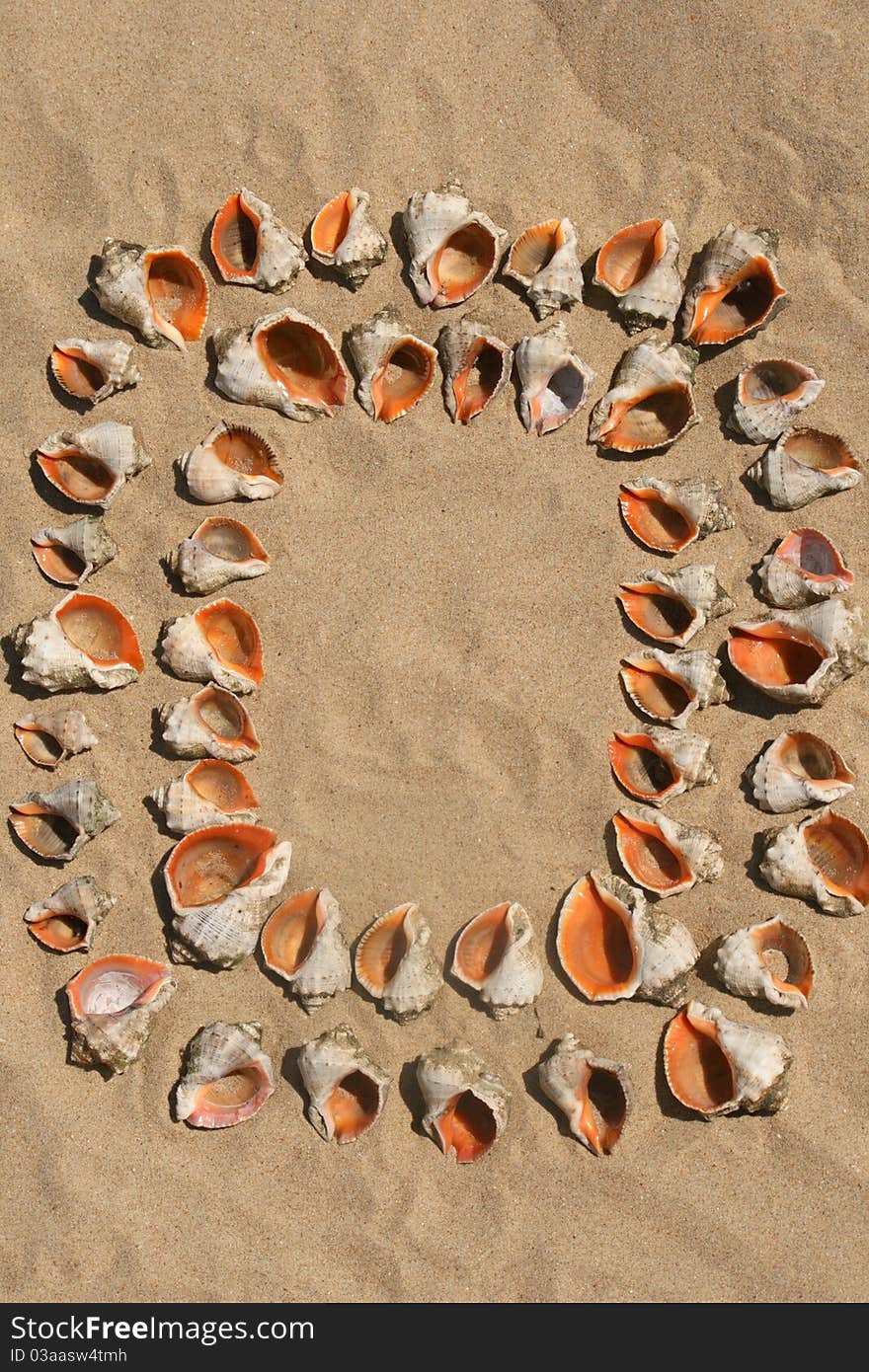 Frame maked of shells.