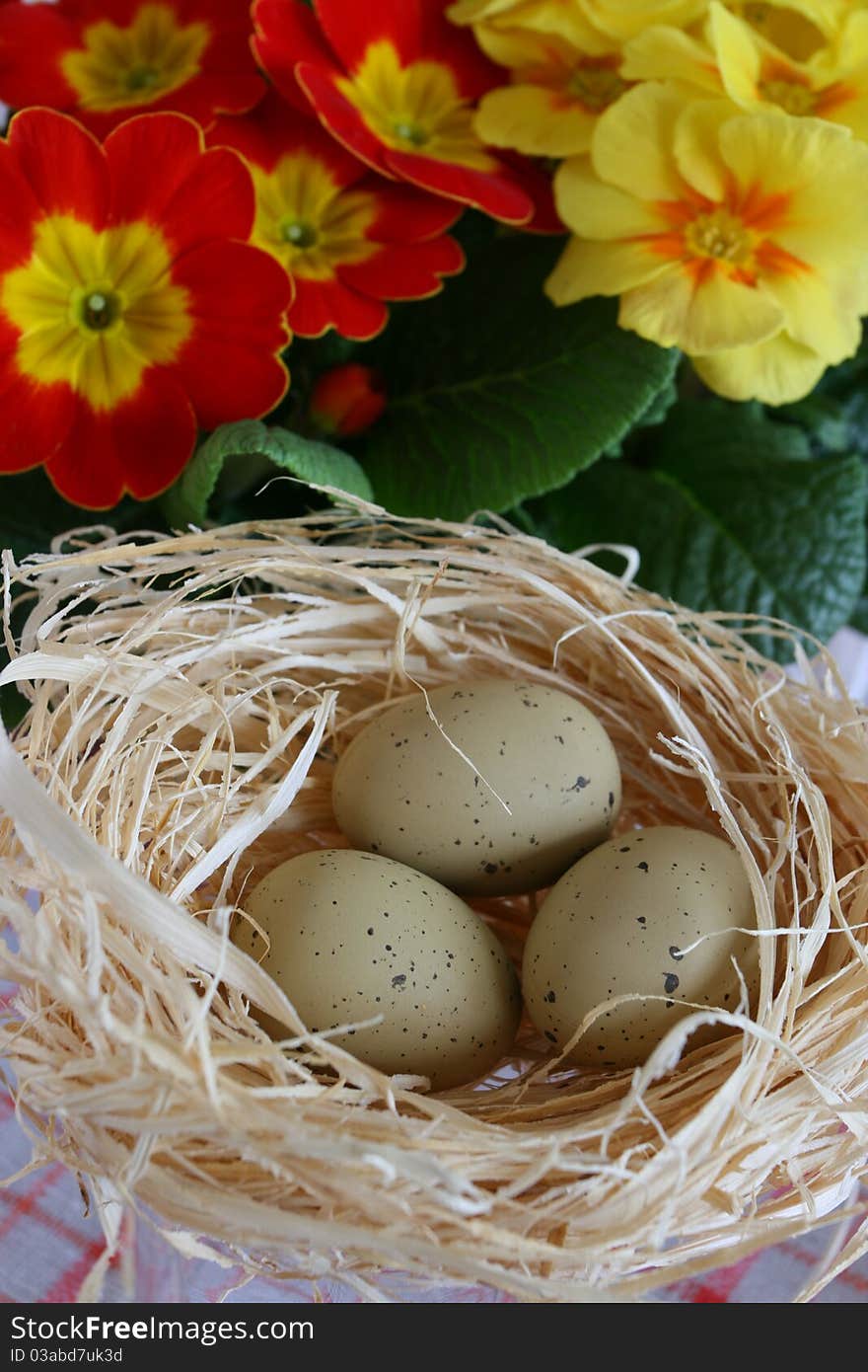 Easter still life with quail eggs