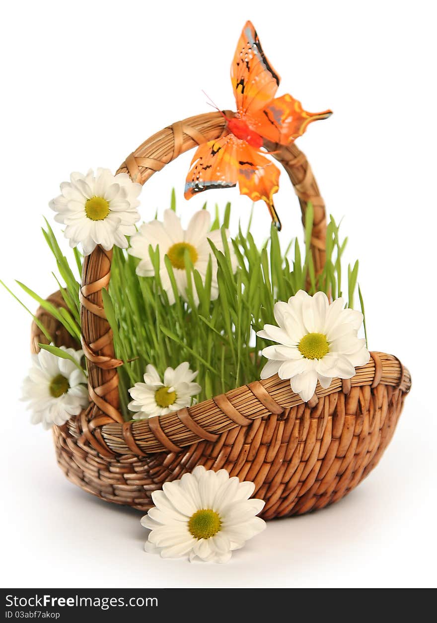 Basket with flowers isolated on white. Basket with flowers isolated on white