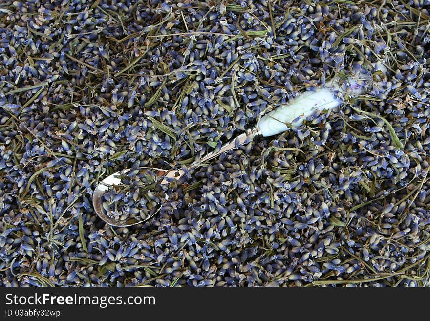 Still life with lavender and spoon