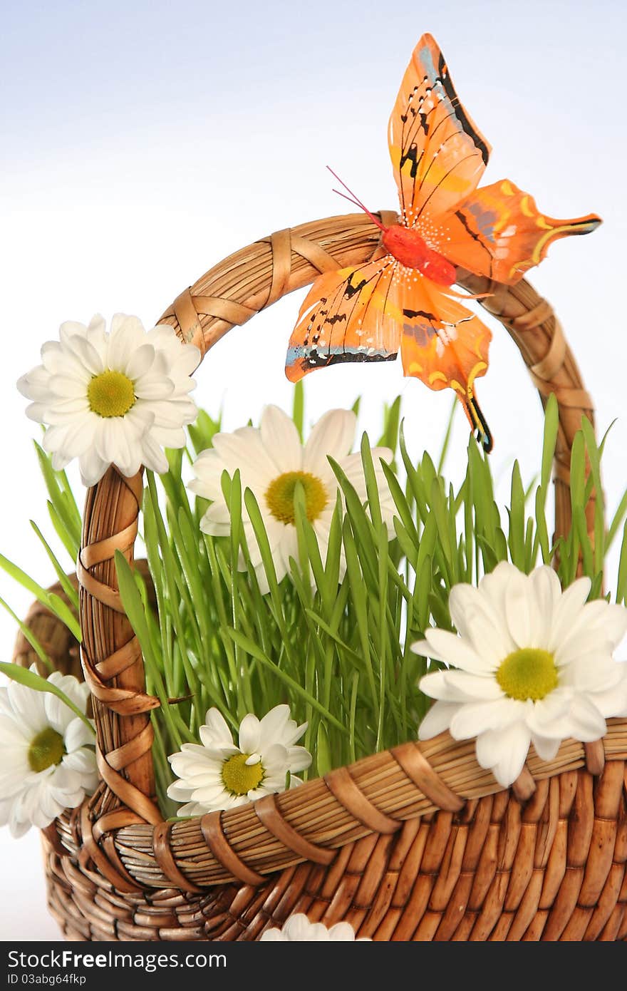 Basket with flowers on blue. Basket with flowers on blue