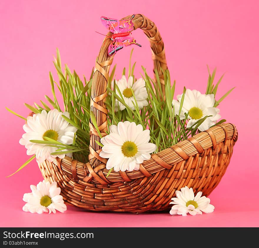 Basket with flowers on pink background