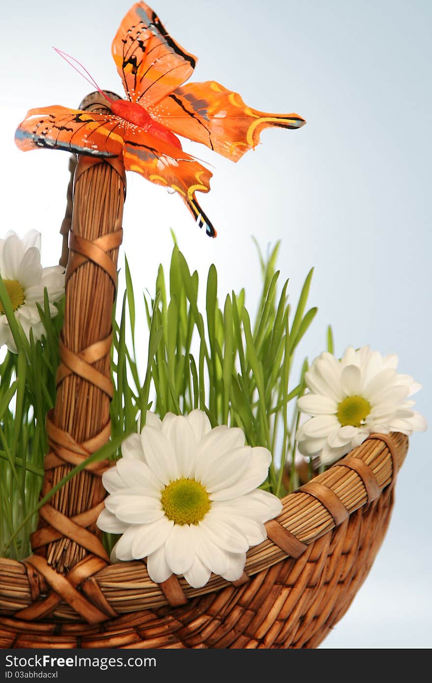 Basket with flowers on blue. Basket with flowers on blue