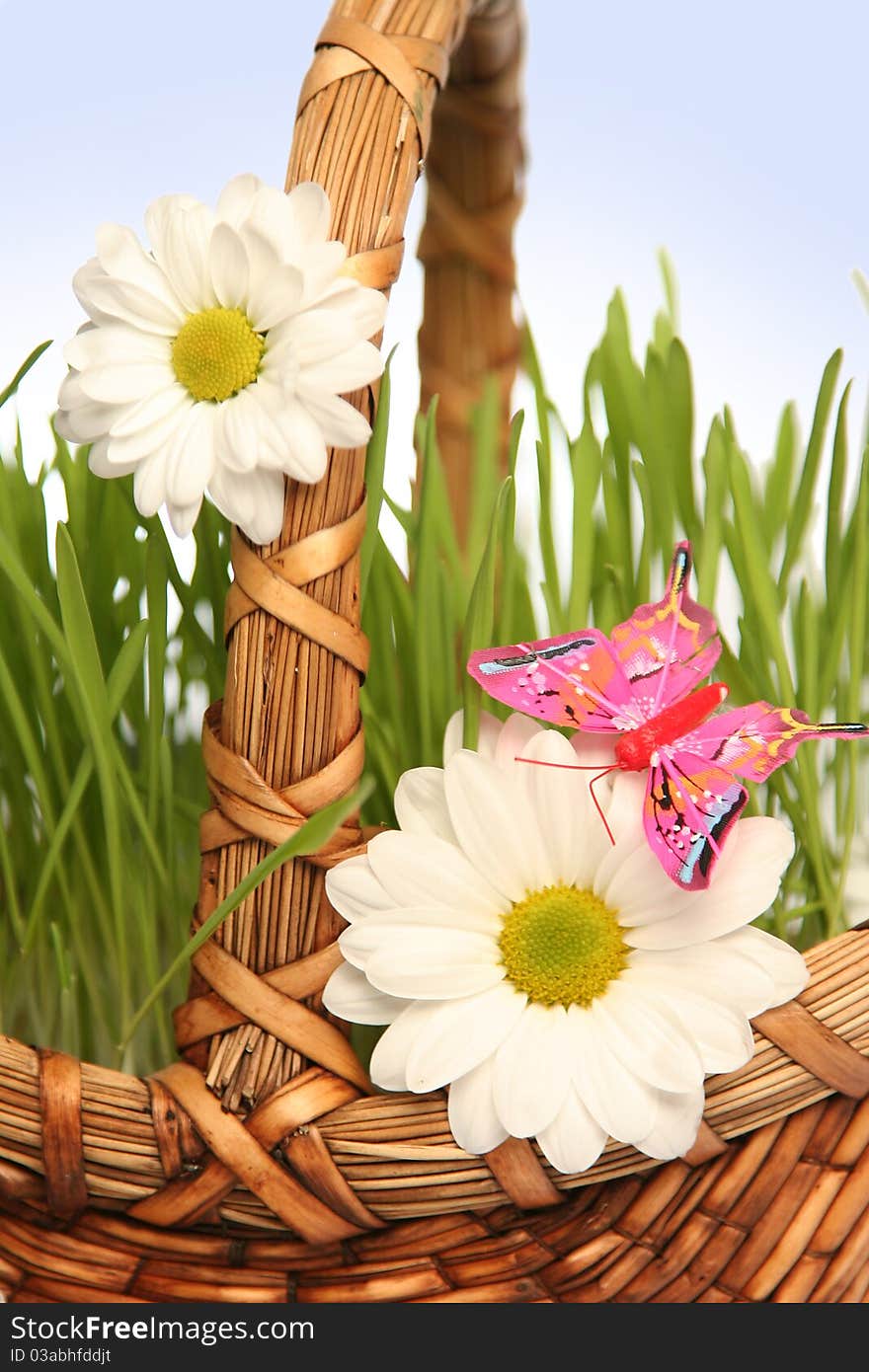 Basket with flowers on blue. Basket with flowers on blue