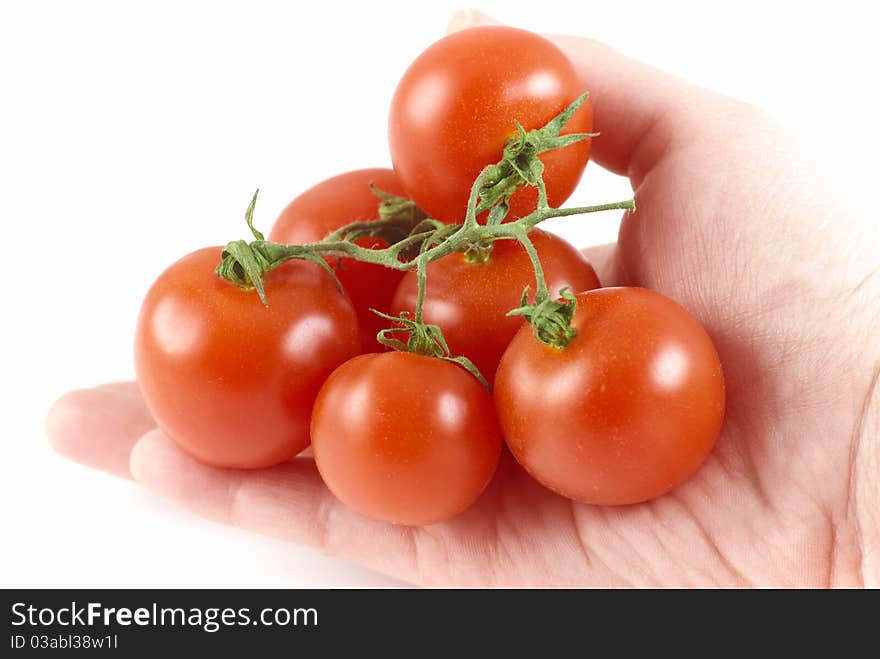 Red fresh bio tomato