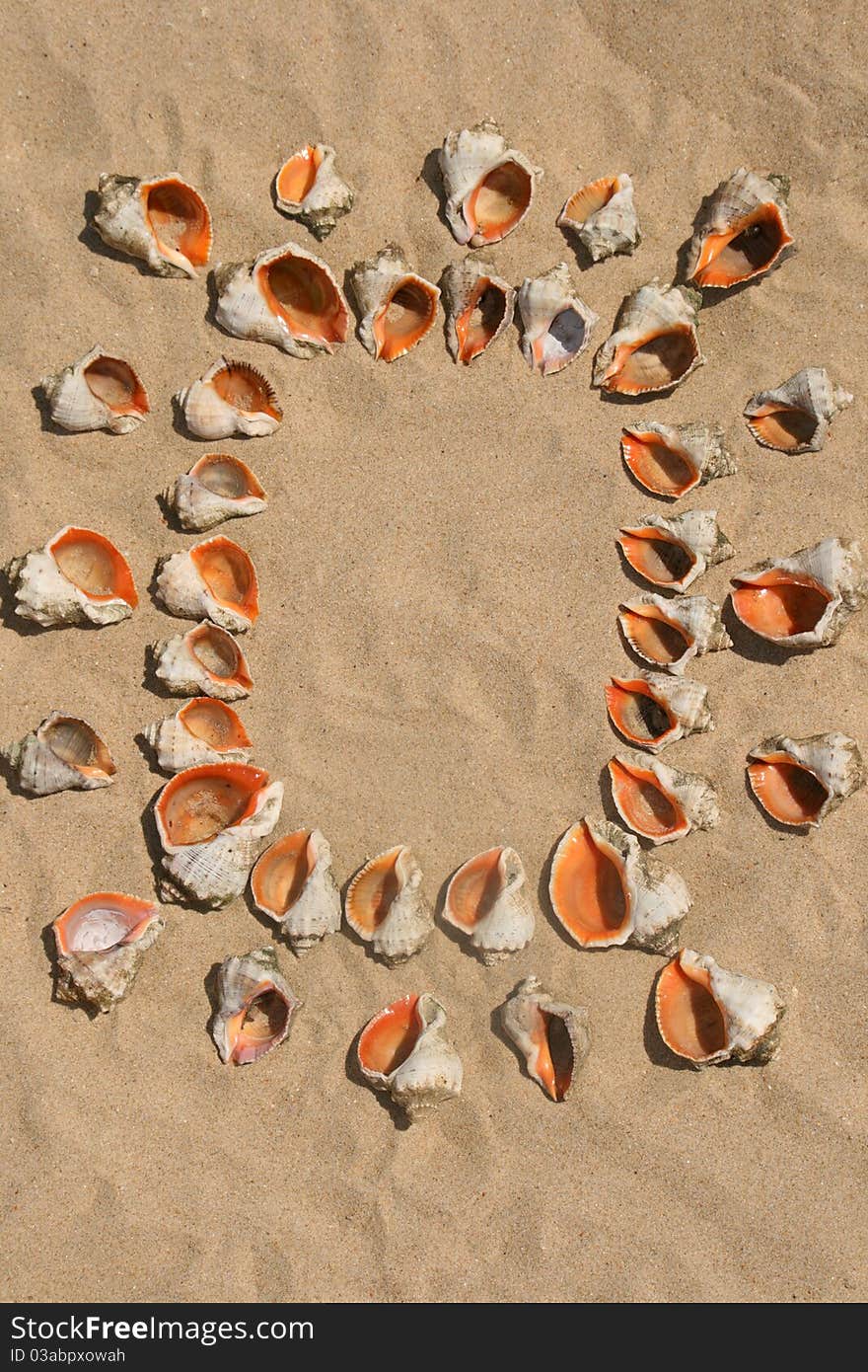 Frame maked of shells.